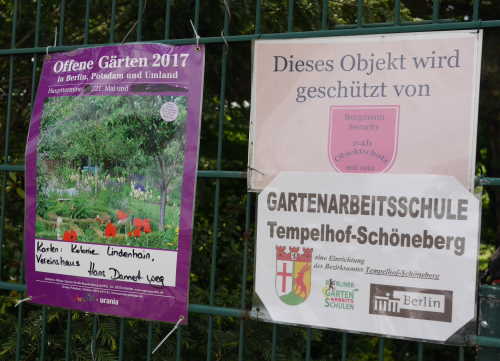 gartenarbeitsschule tempelhof schoeneberg muttertag 2017 10